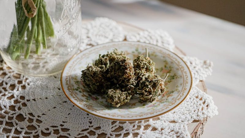 Reliable and Discreet Cannabis Delivery in Czechia