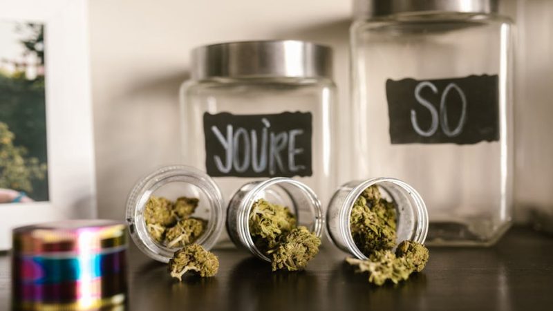 Cannabis Delivery Service in Valencia