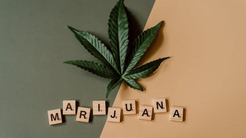 Looking to buy weed Graz or explore the Graz cannabis market?