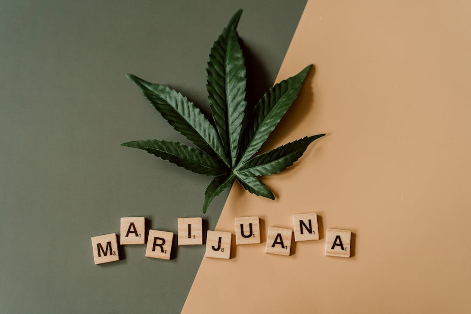 Looking to buy weed Graz or explore the Graz cannabis market?