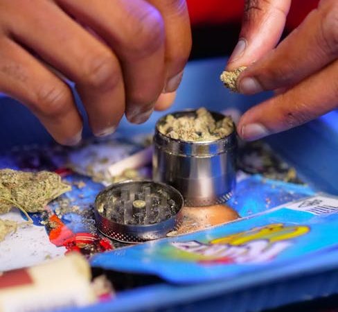 High Quality THC Rich Marijuana in Cluj Napoca