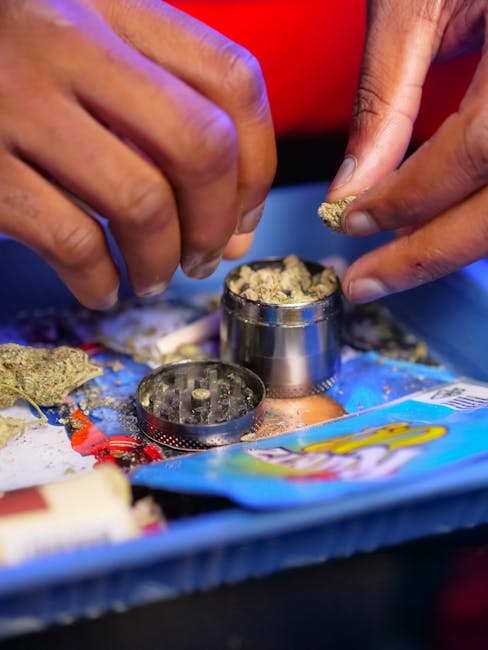 High Quality THC Rich Marijuana in Cluj Napoca