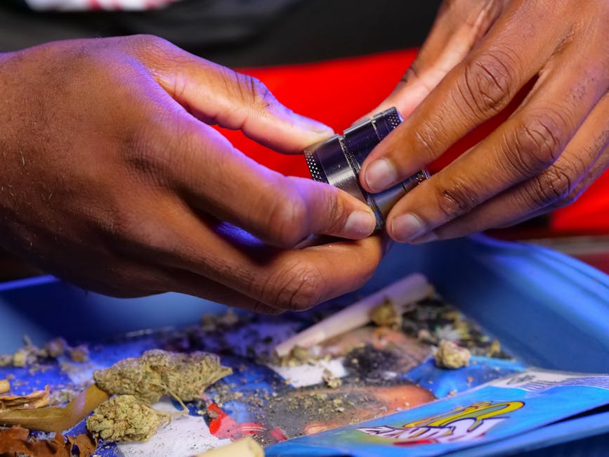 Buying Hashish in Innsbruck: Legal Status, How to Buy, and Safety Tips
