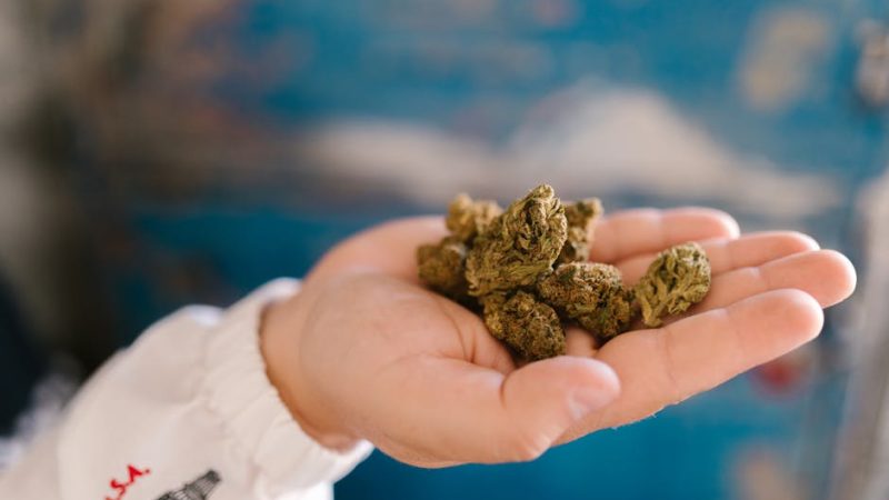 Seville Cannabis Shop: Buy High‑Quality Marijuana, Bud, and Edibles Online