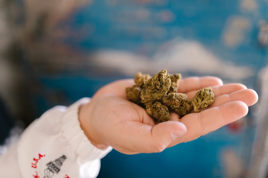 Seville Cannabis Shop: Buy High‑Quality Marijuana, Bud, and Edibles Online