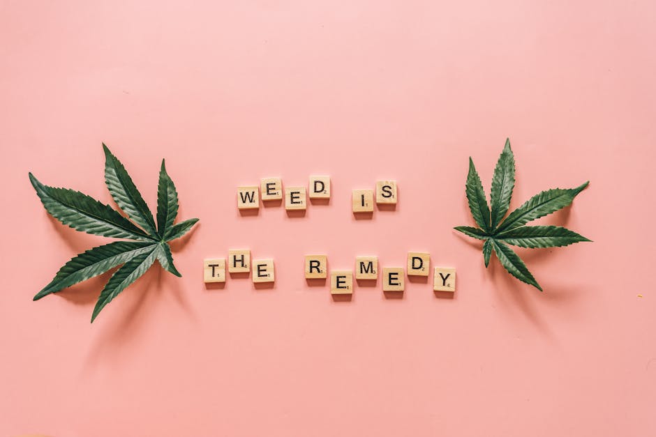 Looking to buy marijuana Szeged or explore the local Szeged cannabis market?