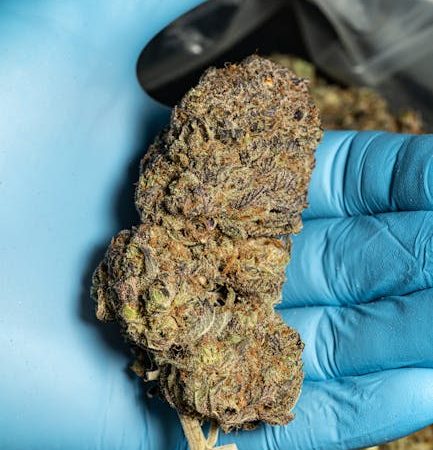 Buy Hashish in Duisburg: Trusted Online Platform