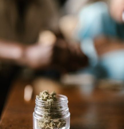 Jurmala Cannabis Shop Marijuana Purchase Latvia