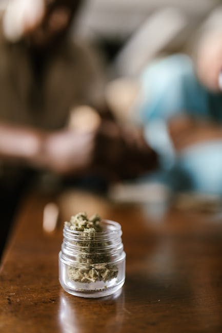 Jurmala Cannabis Shop Marijuana Purchase Latvia