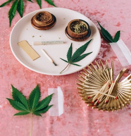 Murcia Cannabis Dispensary