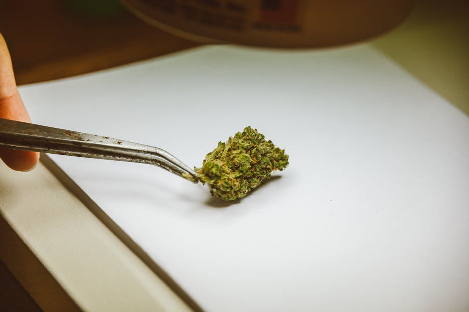 Cannabis Vape Delivery Warsaw Reliable 24/7 Service