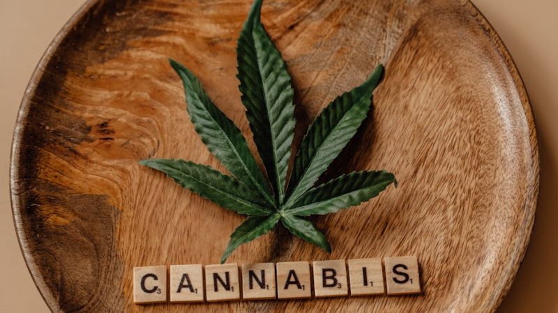 Looking for a reliable 420 shop in Utrecht?