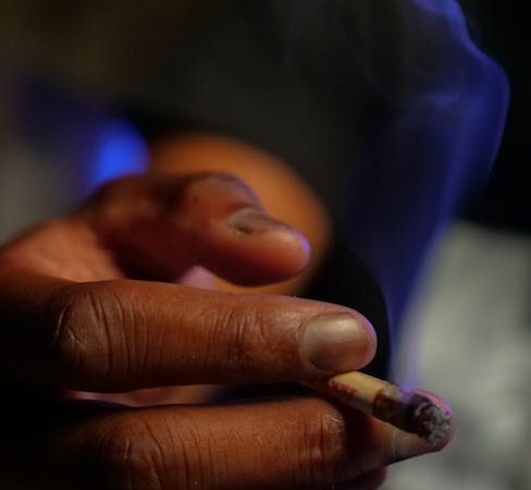 Estonia Cannabis Market: Buy Weed Online, Laws and Trends