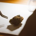 Welcome to the Future of Cannabis Shopping in Estonia img-1466.jpg