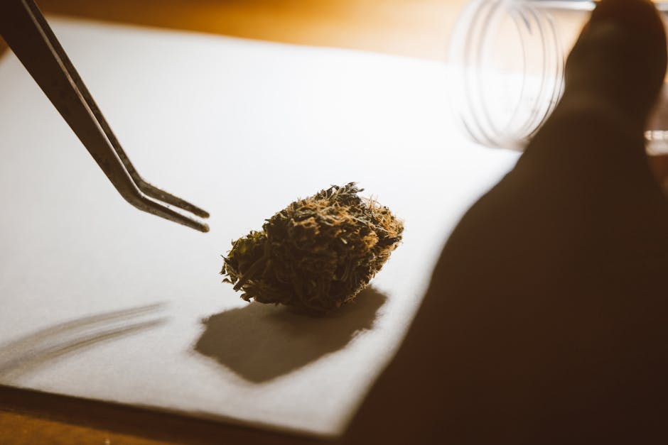 Welcome to the Future of Cannabis Shopping in Estonia