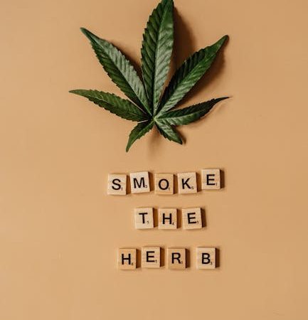 Buying THC Weed in Romania: Legal Status, Regulations, and Market Trends