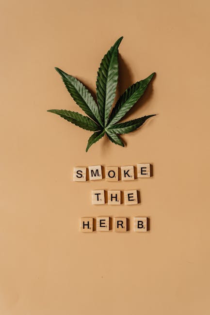 Buying THC Weed in Romania: Legal Status, Regulations, and Market Trends