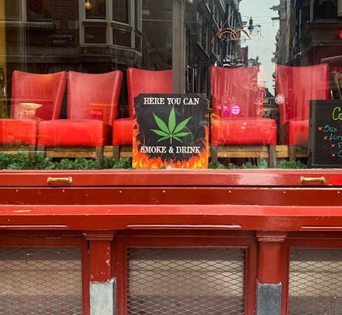 Montpellier Cannabis Vape Hub: Your Guide to THC Products and Legal Regulations
