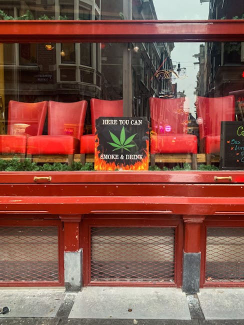 Montpellier Cannabis Vape Hub: Your Guide to THC Products and Legal Regulations
