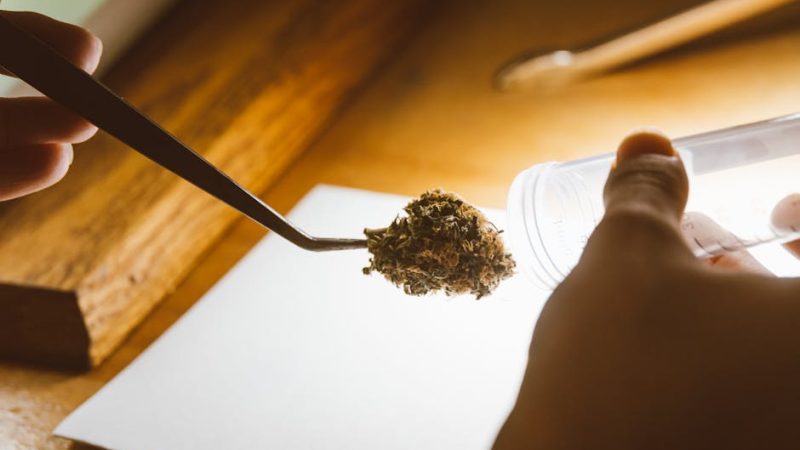 Welcome to Denmark’s premier 420 store and cannabis dispensary