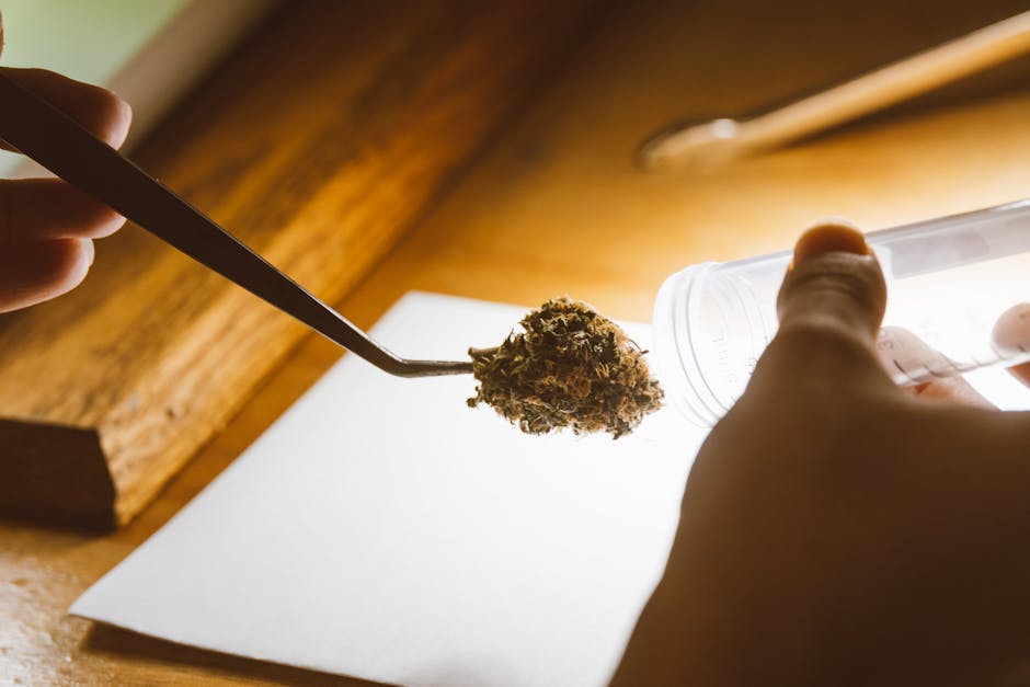 Welcome to Denmark’s premier 420 store and cannabis dispensary