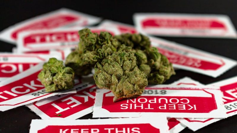 Warsaw’s Evolving Cannabis Scene: Legal Landscape, Buying Guide, and Consumption Methods