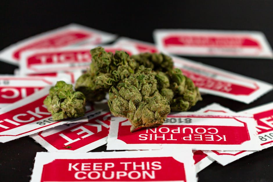 Warsaw’s Evolving Cannabis Scene: Legal Landscape, Buying Guide, and Consumption Methods