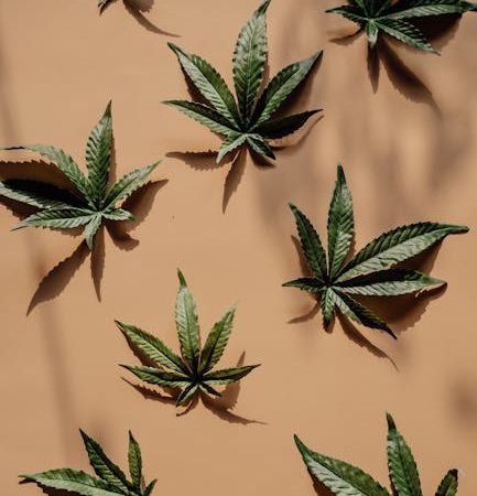 High‑Quality Cannabis Delivery in Sheffield