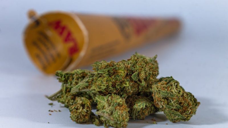 THC Vape Delivery Service in Dresden