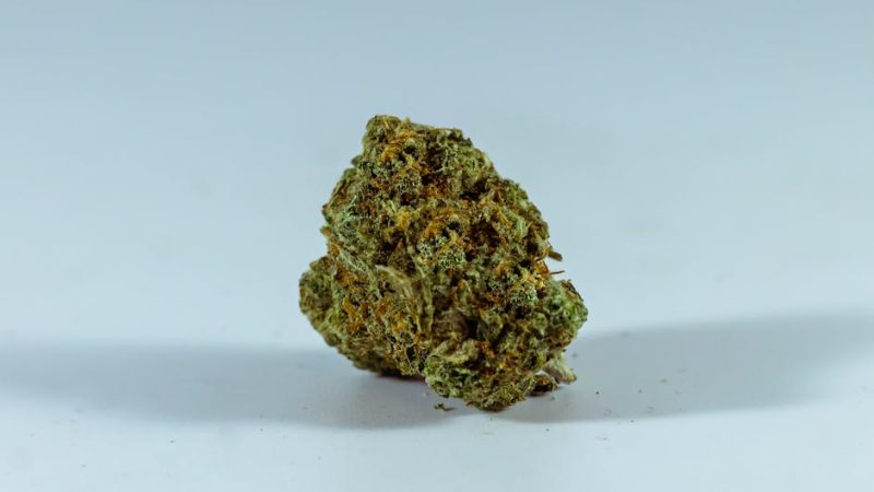 Denmark Cannabis Laws, Potency, and Culture: A Comprehensive Guide to THC Weed