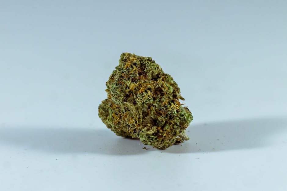 Denmark Cannabis Laws, Potency, and Culture: A Comprehensive Guide to THC Weed