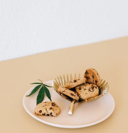 Prague Cannabis Market Guide 2024