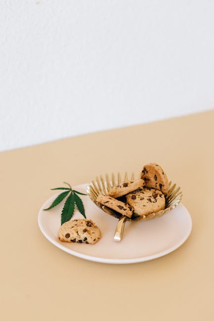 Prague Cannabis Market Guide 2024