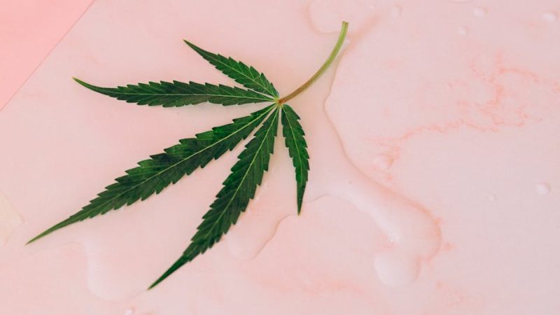 Monaco cannabis market