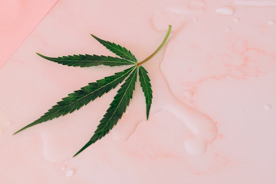 Monaco cannabis market
