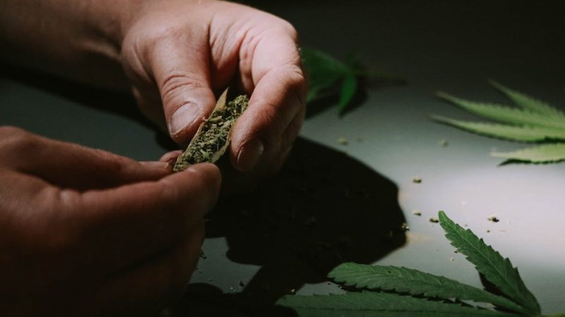 Welcome to the premier Ostrava dispensary