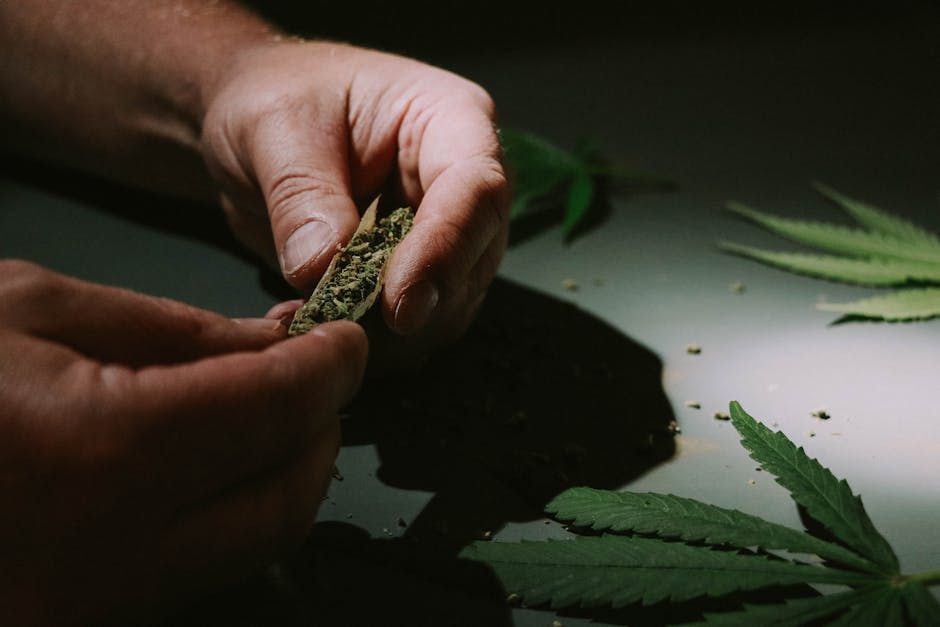 Welcome to the premier Ostrava dispensary