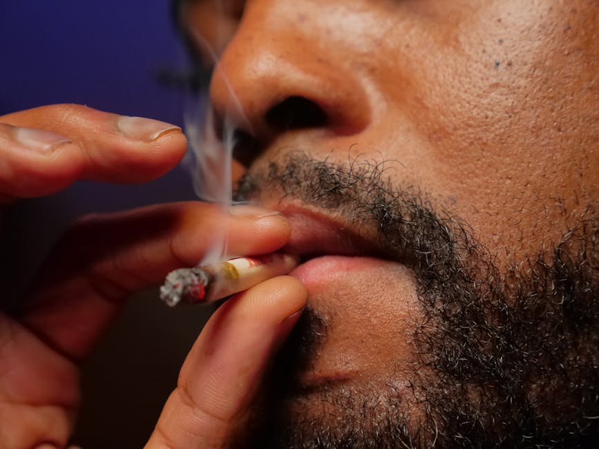 THC Vapes in Munich: Products, Prices, Delivery and Community