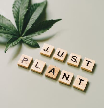 THC Vape Delivery Service in Europe