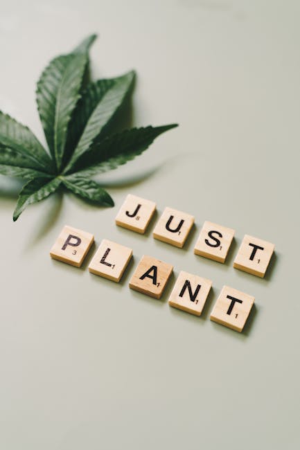 THC Vape Delivery Service in Europe