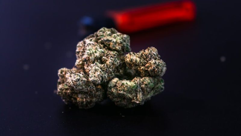 Cannabis in Cannes: A Guide for Enthusiasts