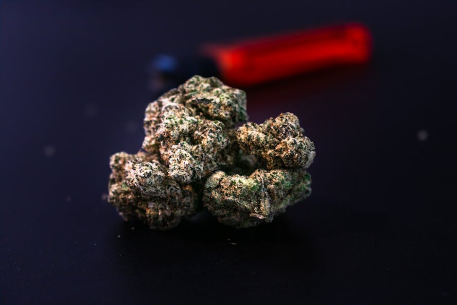 Cannabis in Cannes: A Guide for Enthusiasts