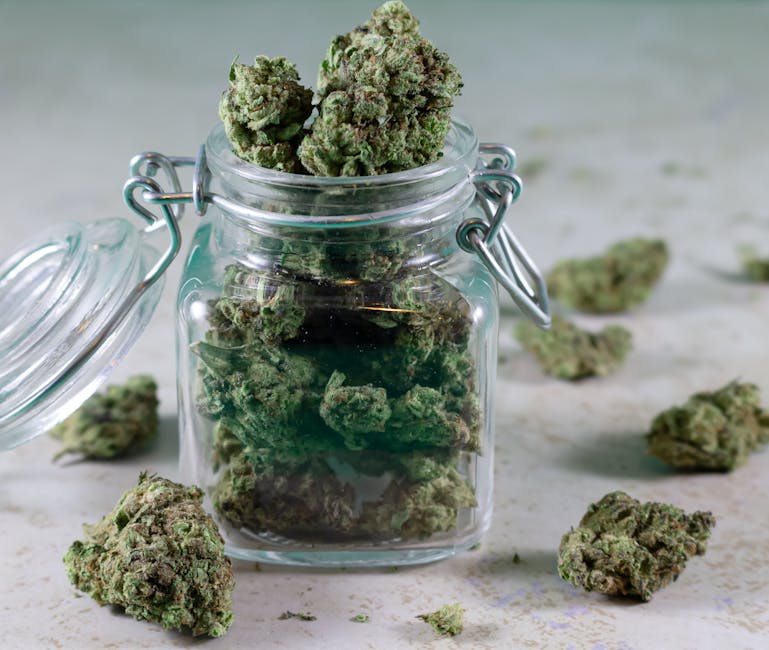 Zermatt Cannabis Guide