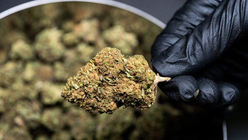 Brussels 420 Shop: Your Ultimate Guide to Legal Cannabis