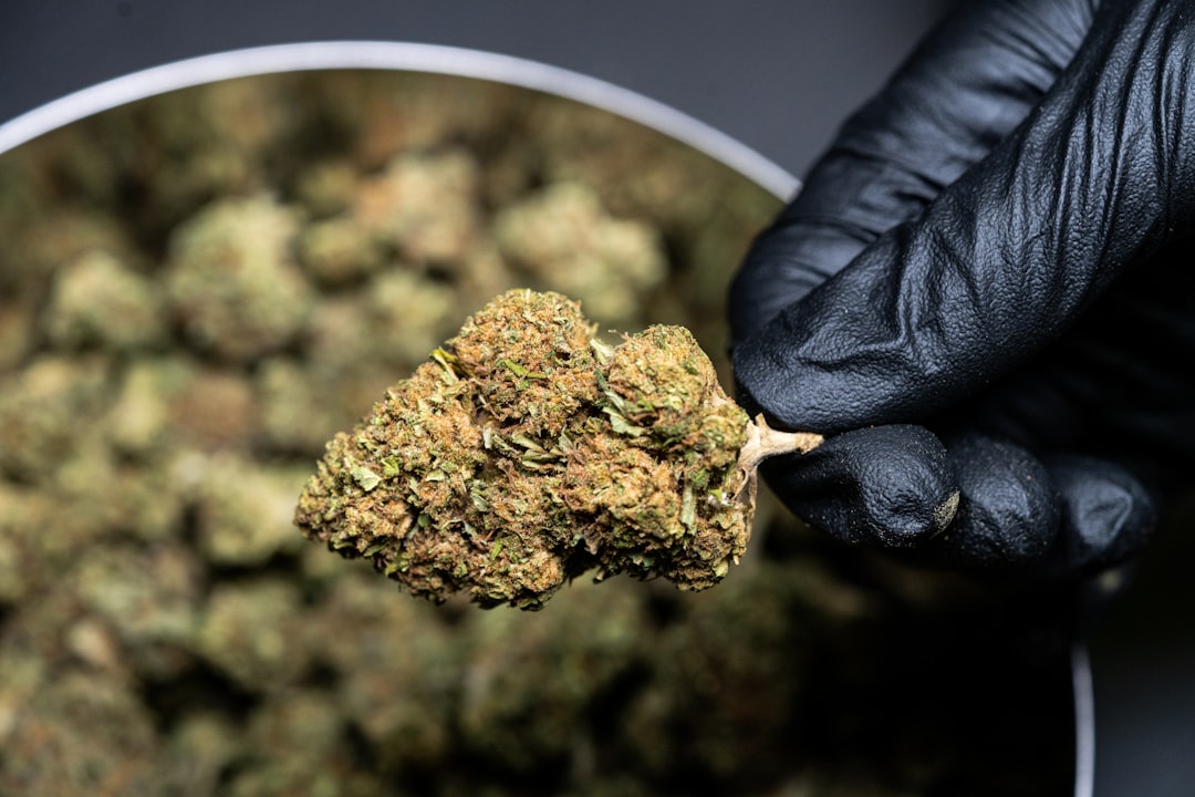 Brussels 420 Shop: Your Ultimate Guide to Legal Cannabis
