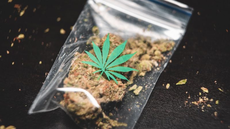 Looking for a reliable source of high‑quality THC vapes in Belgium?