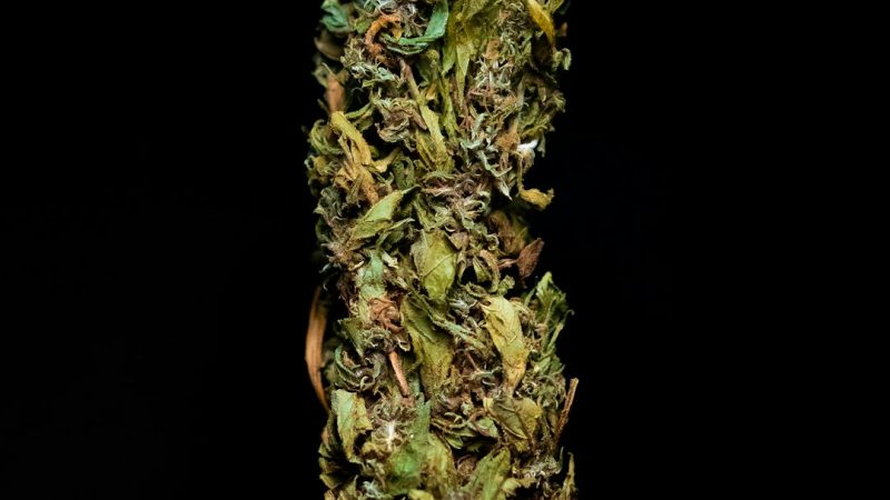 Marijuana Delivery Belfast