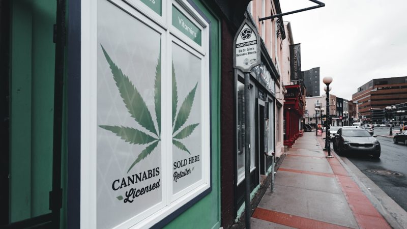 Plovdiv Weed Delivery Service