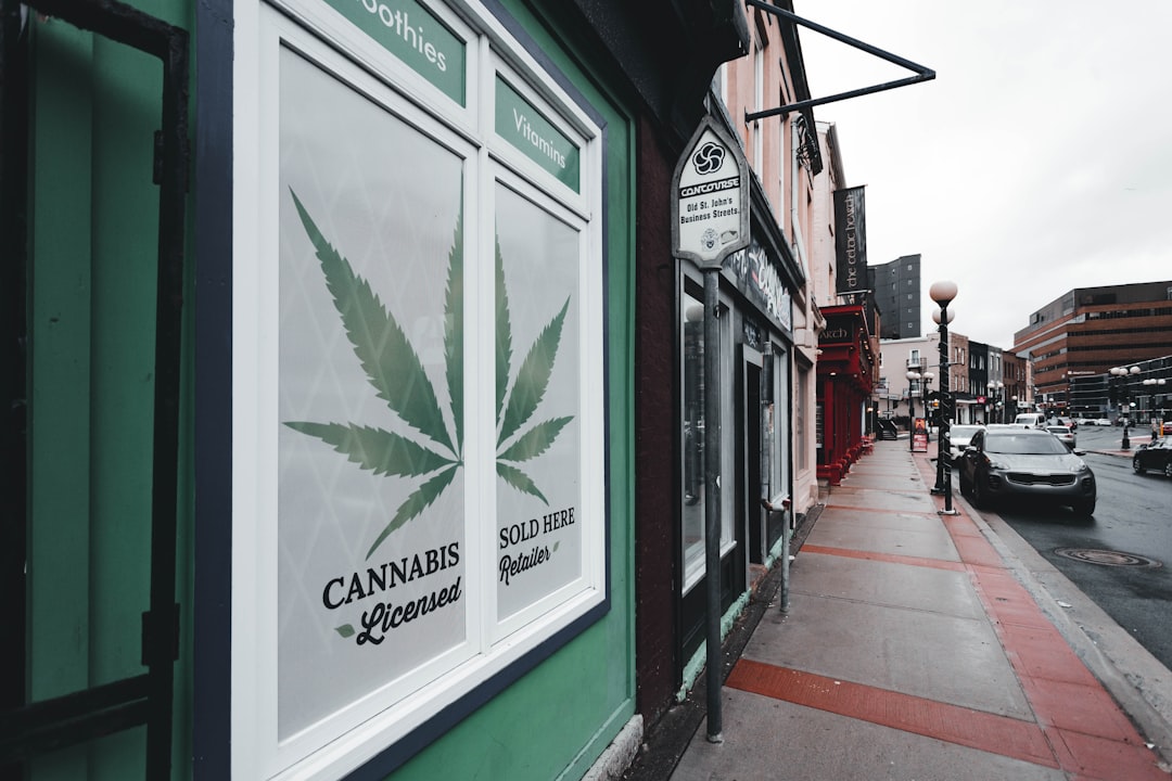 Plovdiv Weed Delivery Service