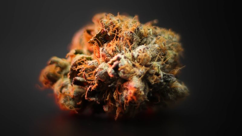 THC Vape Delivery in Toulouse: Your Premier Online Shop